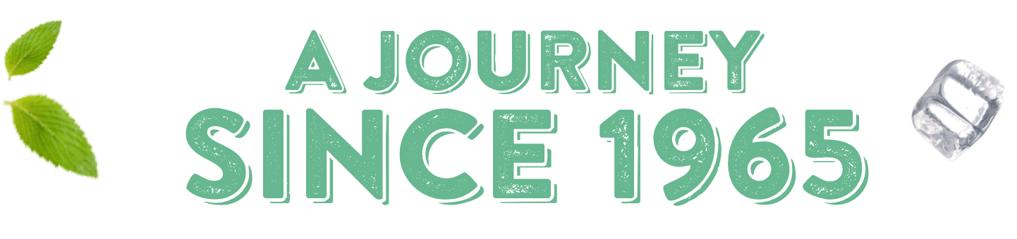 history logo
